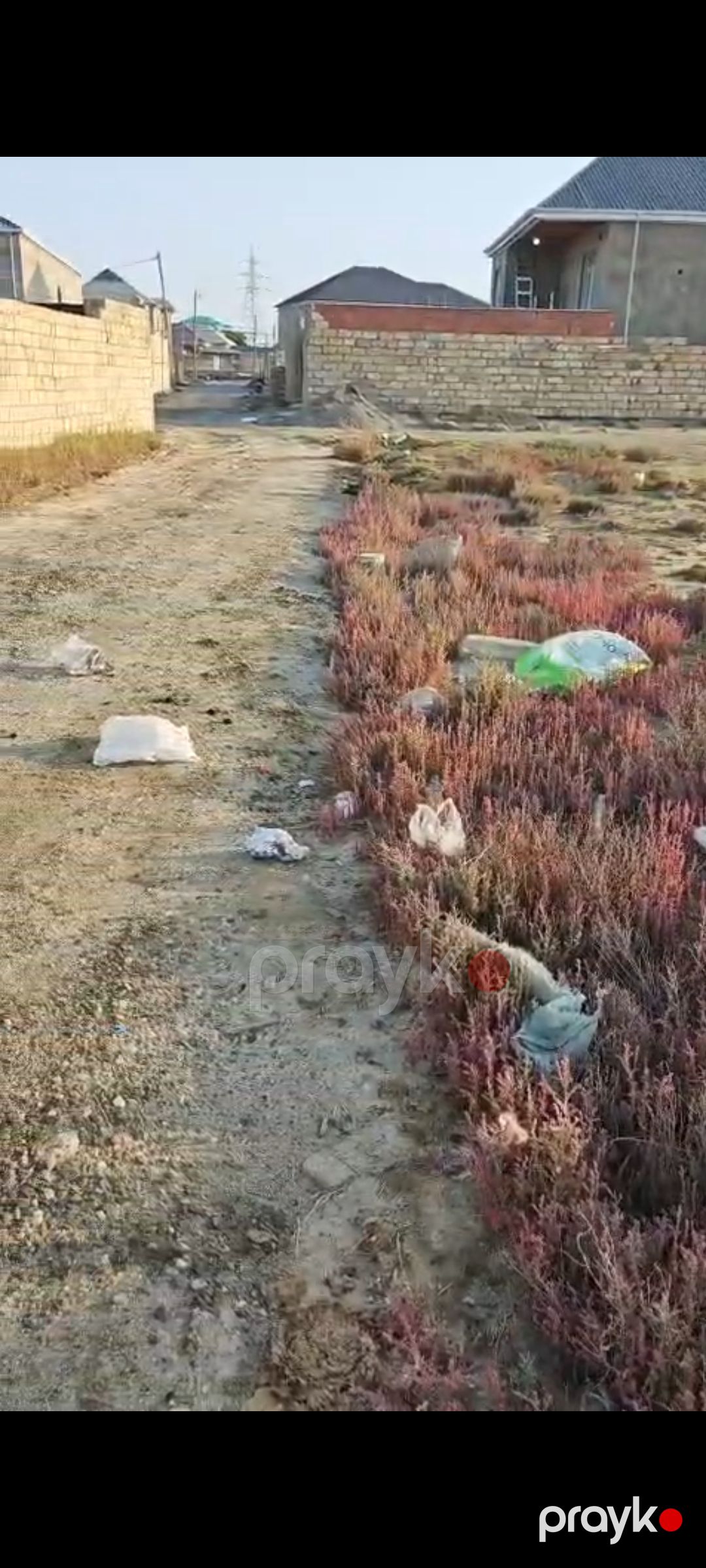 Torpaq — Torpaq, Sumqayıt (3)