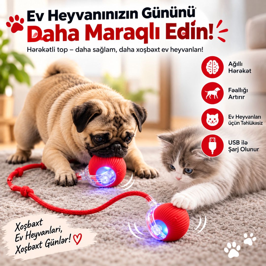 Pişik və İtlər üçün Ağıllı İnteraktiv Oyuncaq EB_1438 — Mallar, Bakı
