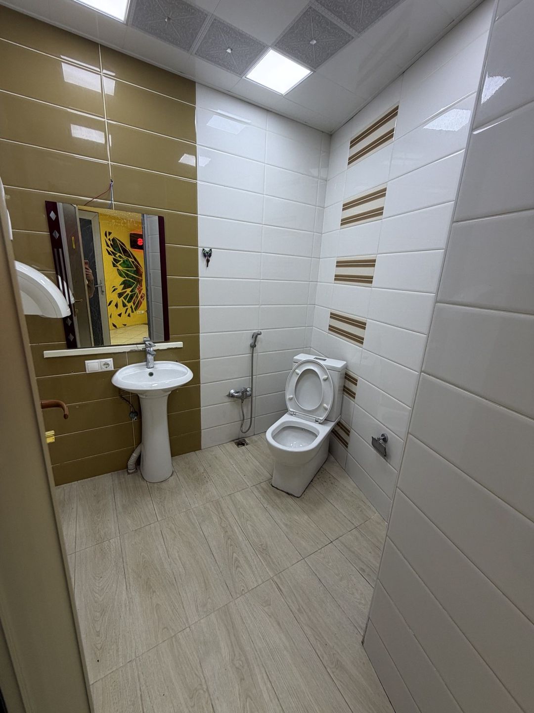 Satılır 10 otaqlı yeni tikili 250 m² — Mənzil, Bakı (3)