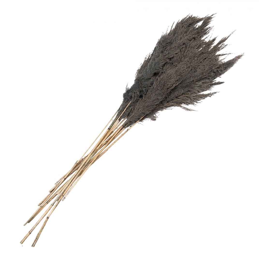Qurudulmuş çiçəklər Clayre & Eef, 100 sm, boz — Mallar, Bakı (2)