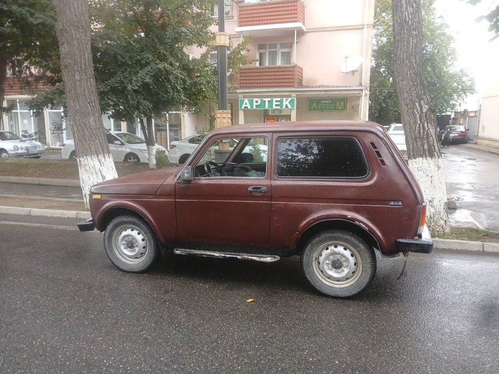 Lada (VAZ) Niva, 1.7 L, 1995 il, 254 682 km 10-RH-811 — Avtomobillər, Qazax (2)