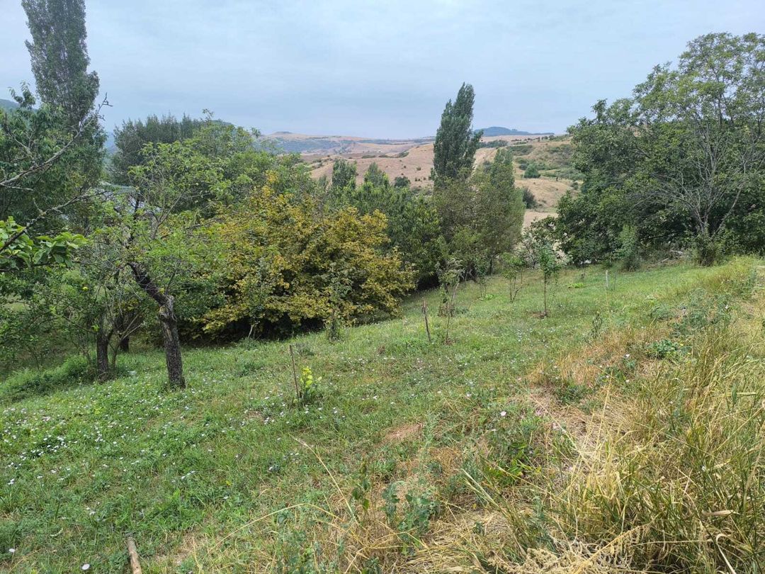 Satılır torpaq 10 sot — Torpaq, Şamaxı (9)