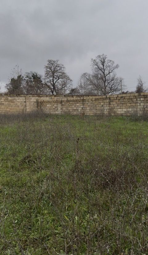 Satılır torpaq 11 sot — Xaçmaz