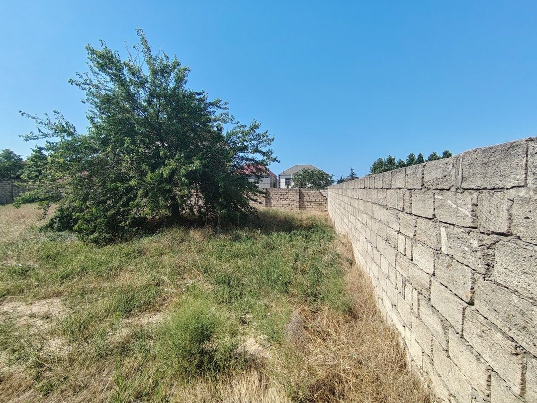 Satılır torpaq 8 sot — Torpaq, Bakı (4)