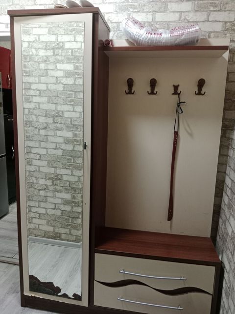 İşlənmiş, 1 qapı, Güzgülü, Rəngli, Açılan, Düz dolab — Digah
