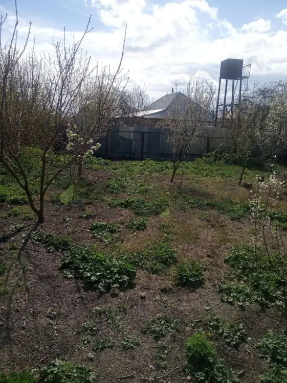 8 sot Torpaq Satılır, Ağdaş — Ağdaş