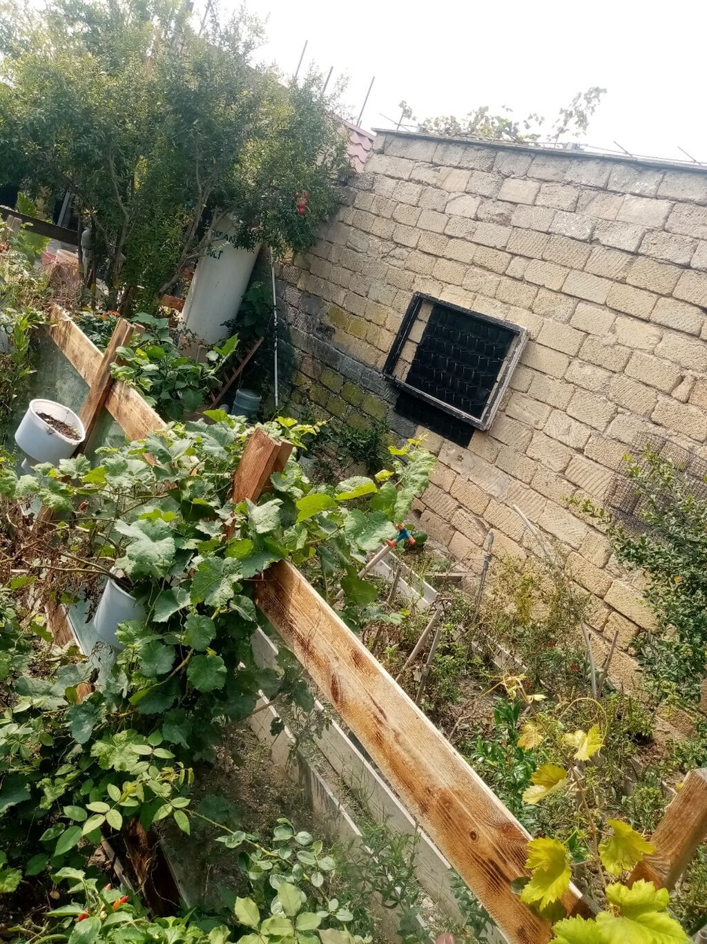 3 sot, Makler, Kupça (Çıxarış) — Torpaq, Bakı (6)