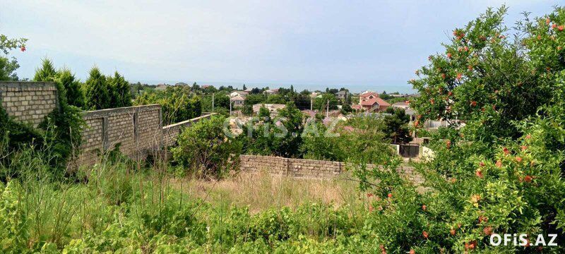 Torpaq Satılır Abşeron r., Görədil q., 16.5 sot — Torpaq, Bakı (8)