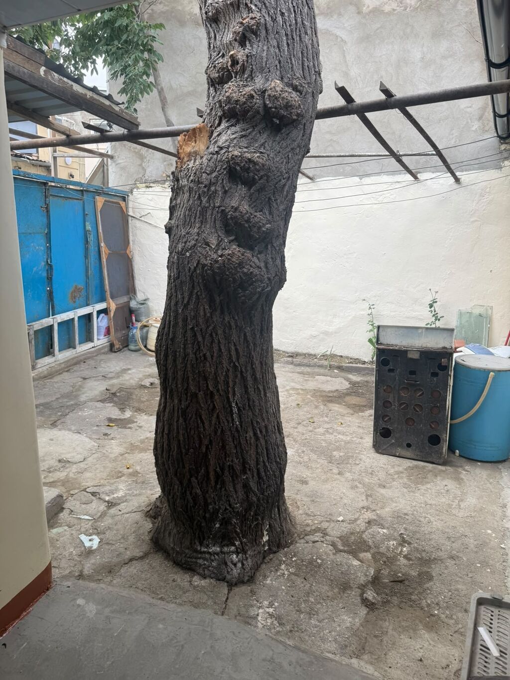 75 kv. m, 3 otaqlı — Ev, villa, Bakı