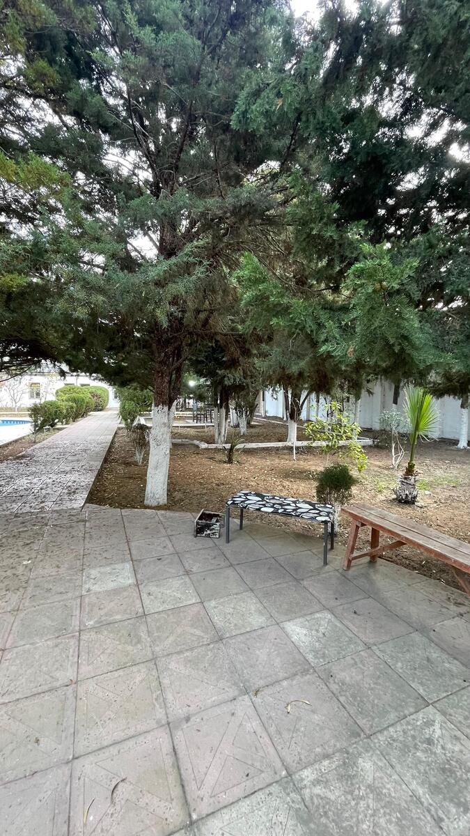 Satılır torpaq 22 sot — Torpaq, Bakı (2)