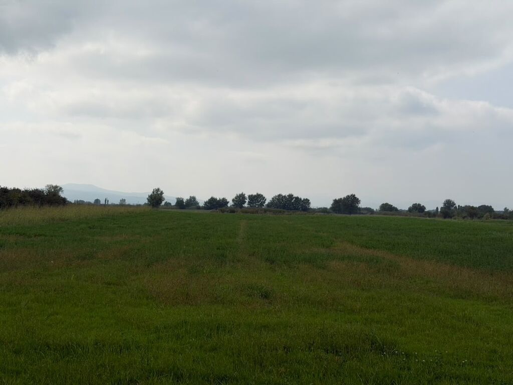 114 sot, Kənd təsərrüfatı, Kupça (Çıxarış), Bələdiyyə — Torpaq, Xaçmaz (10)
