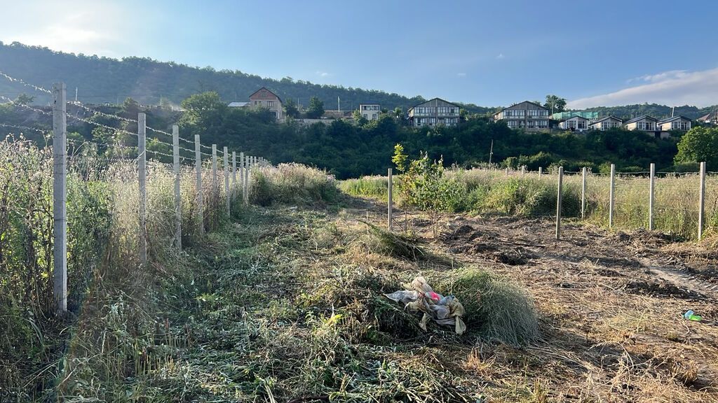 5 sot, Biznes üçün, Makler, Kupça (Çıxarış) — Torpaq, Qusar (2)