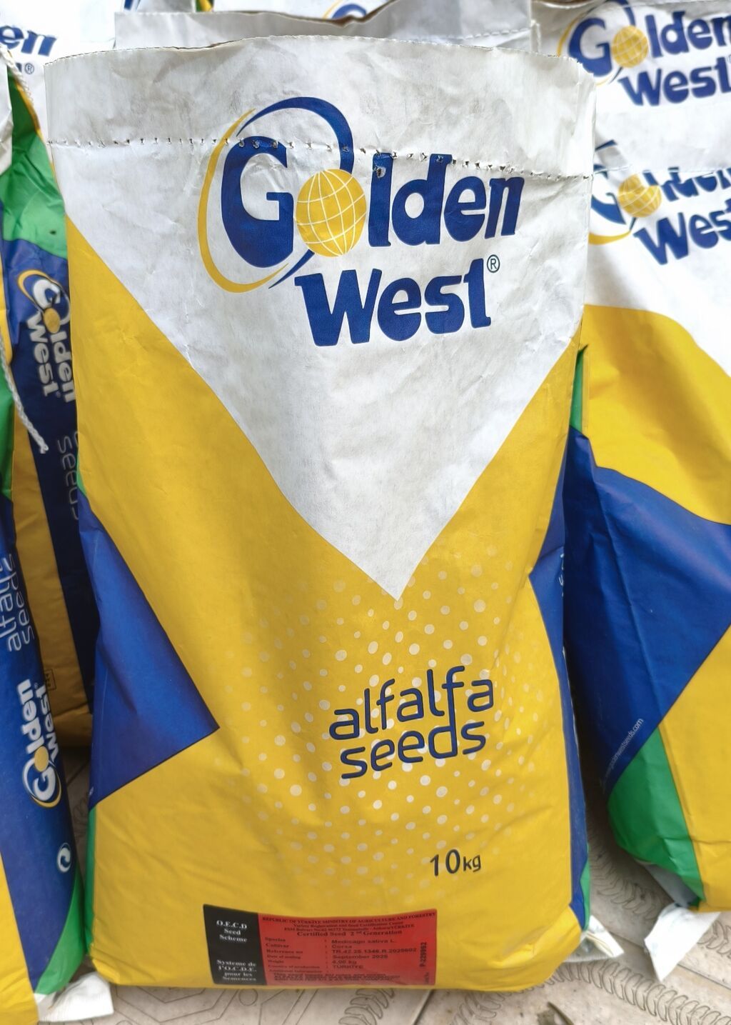 Golden west yonca toxumu Türk toxumudur Bitişi 100 faiz Boy 80 sm — Bitkilər, Bərdə (2)
