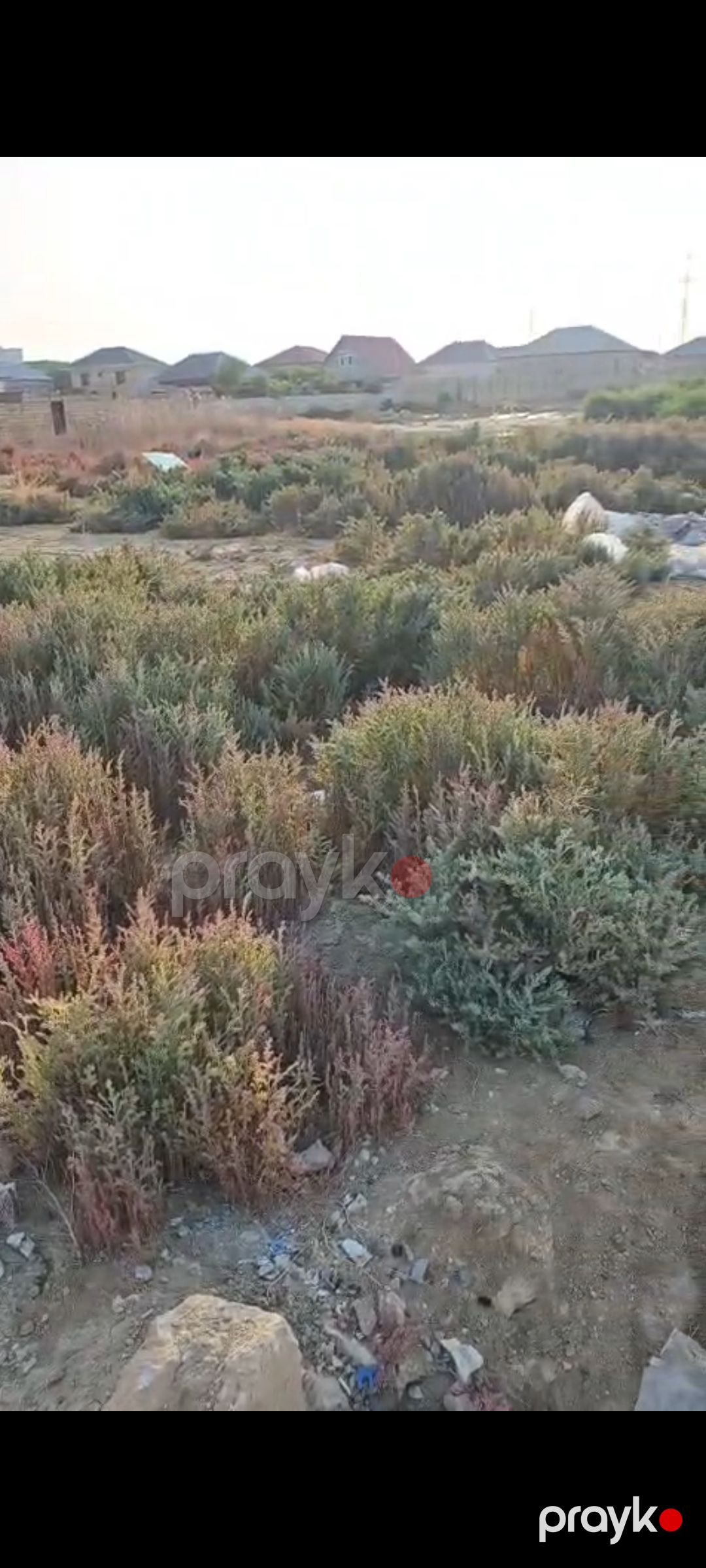 Torpaq — Torpaq, Sumqayıt (4)