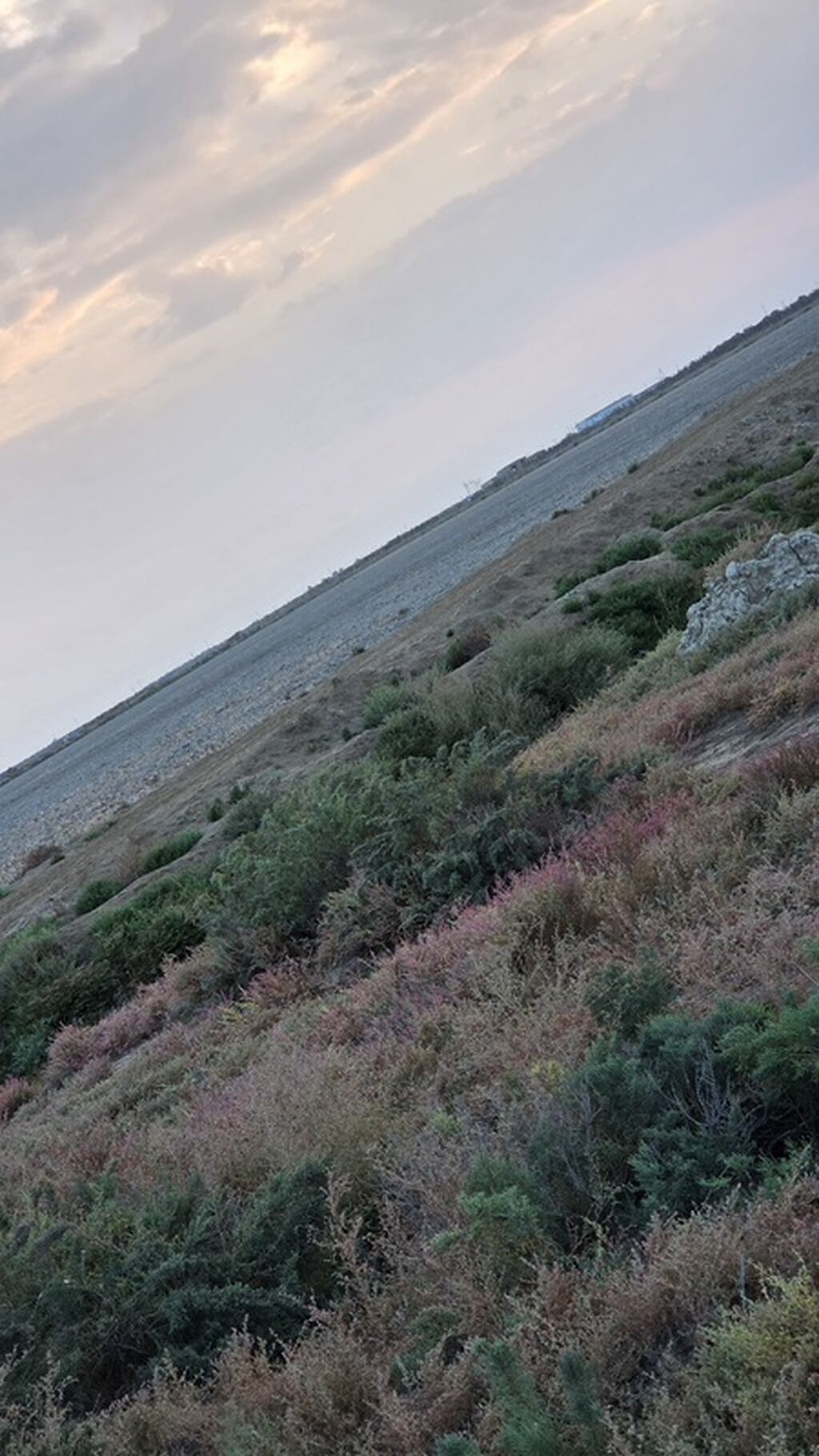 Kənd təsərrüfatı — Torpaq, Neftçala (3)