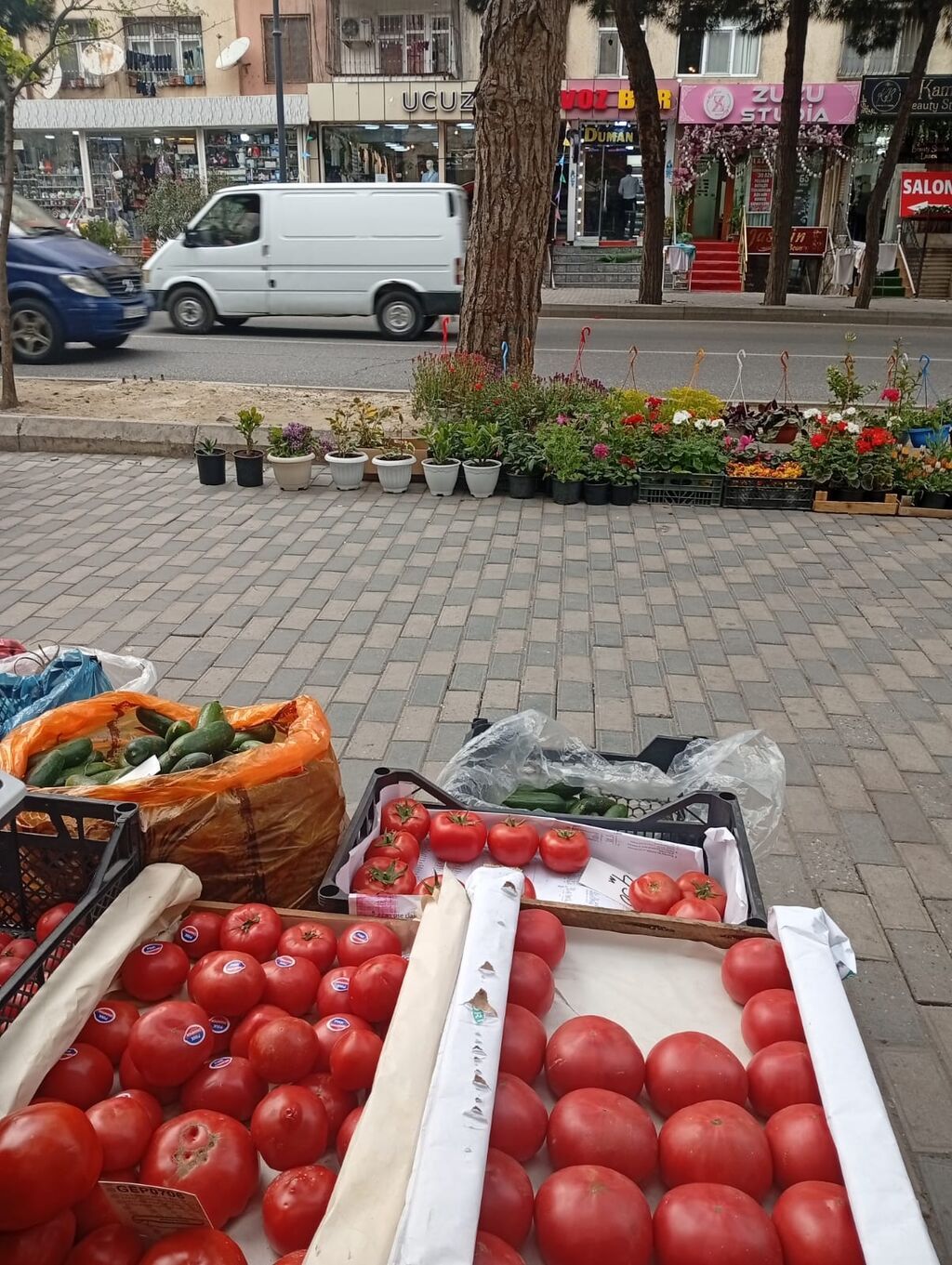 Hazır biznes kimi satılır 500 manat aylıq icare haqqı 400 manat ünvan — Bitkilər, Bakı (5)