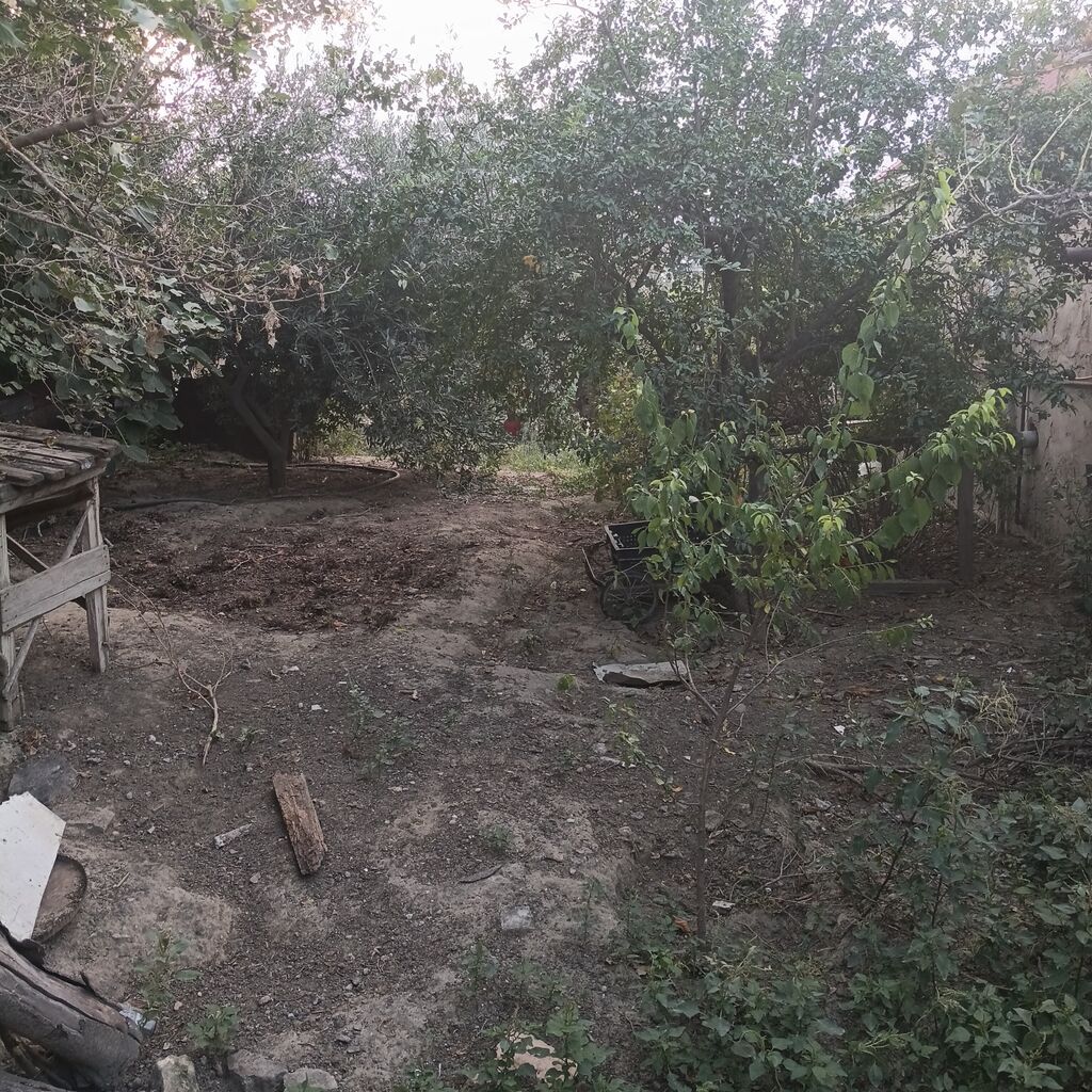 Kənd təsərrüfatı — Torpaq, Mehdiabad (7)
