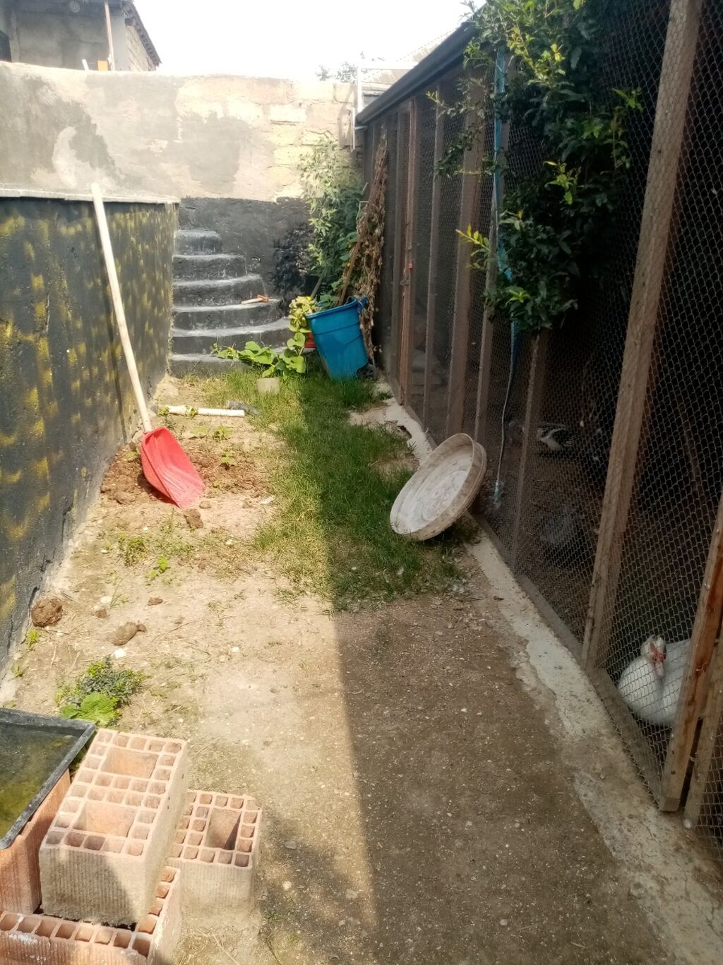 3 sot, Makler, Kupça (Çıxarış) — Torpaq, Bakı (3)