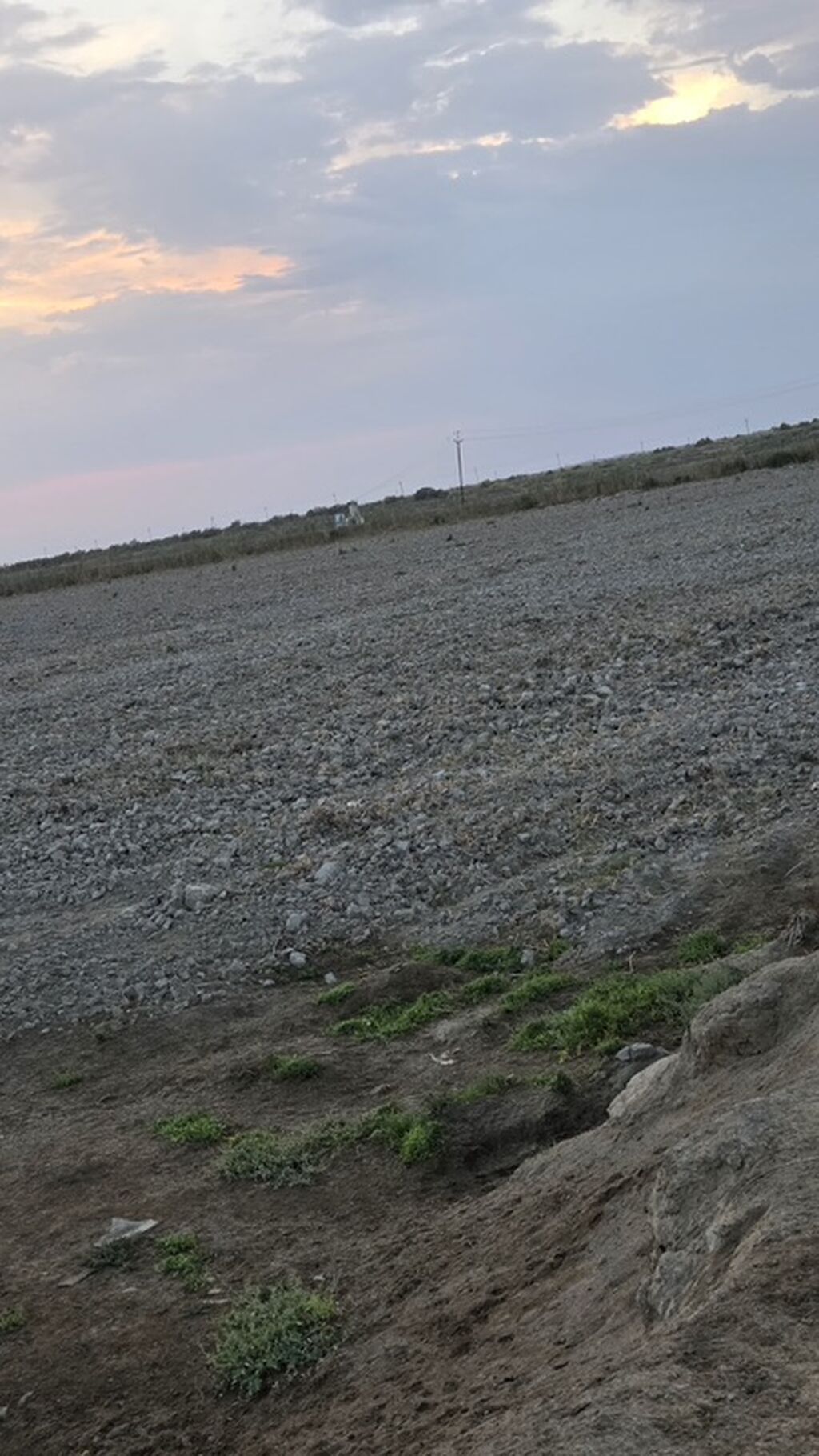 Kənd təsərrüfatı — Torpaq, Neftçala (5)