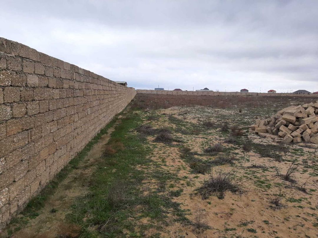Satılır torpaq 219 sot — Torpaq, Bakı (3)