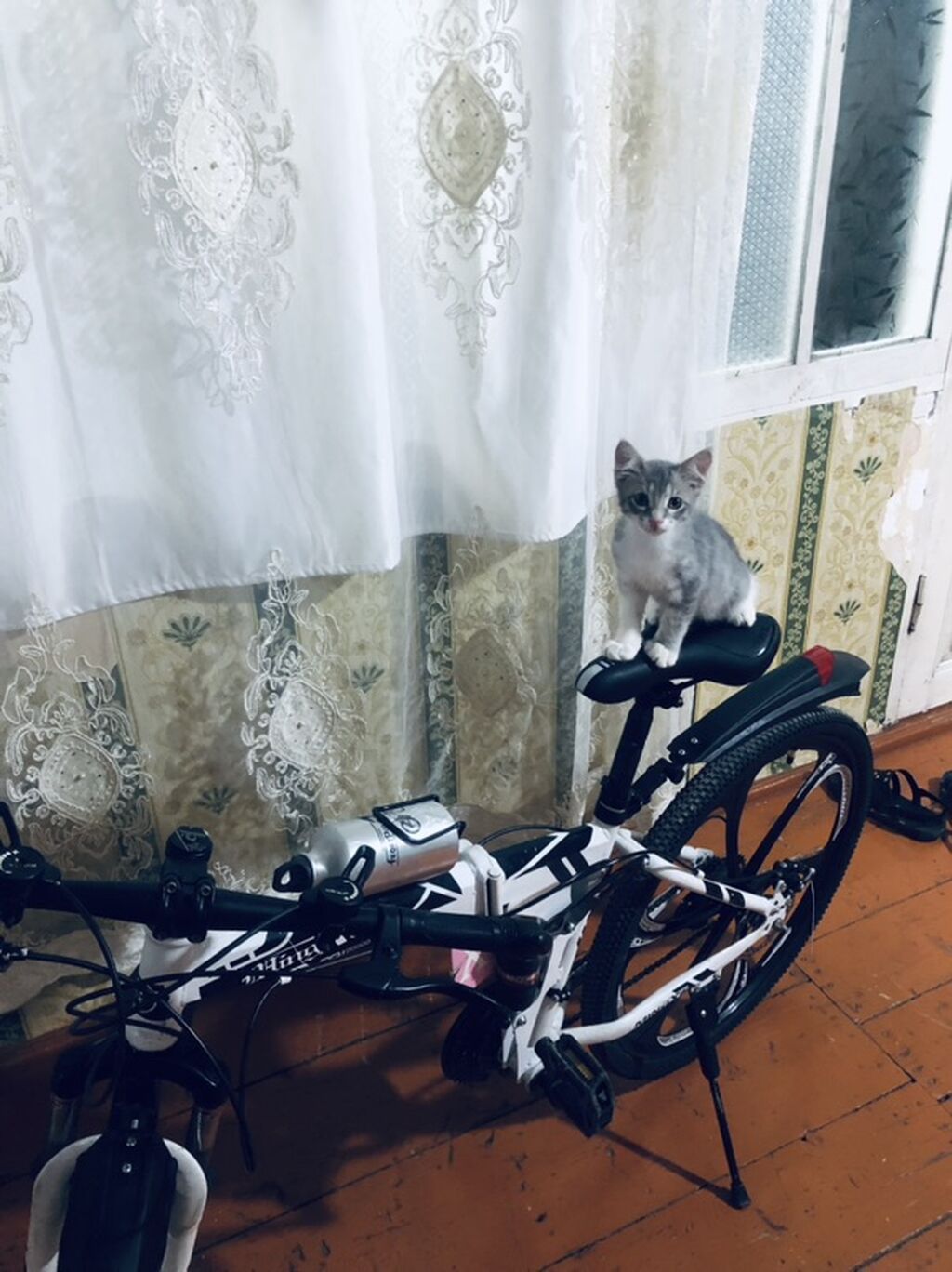 Şəhər və yüngül off-road üçün çoxfunksiyalı velosiped. - Rəng — Yol velosipedləri, Bərdə