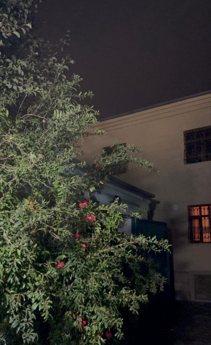 Satılır 11 otaqlı həyət evi/bağ evi 500 m² — Ev, villa, Bakı (3)