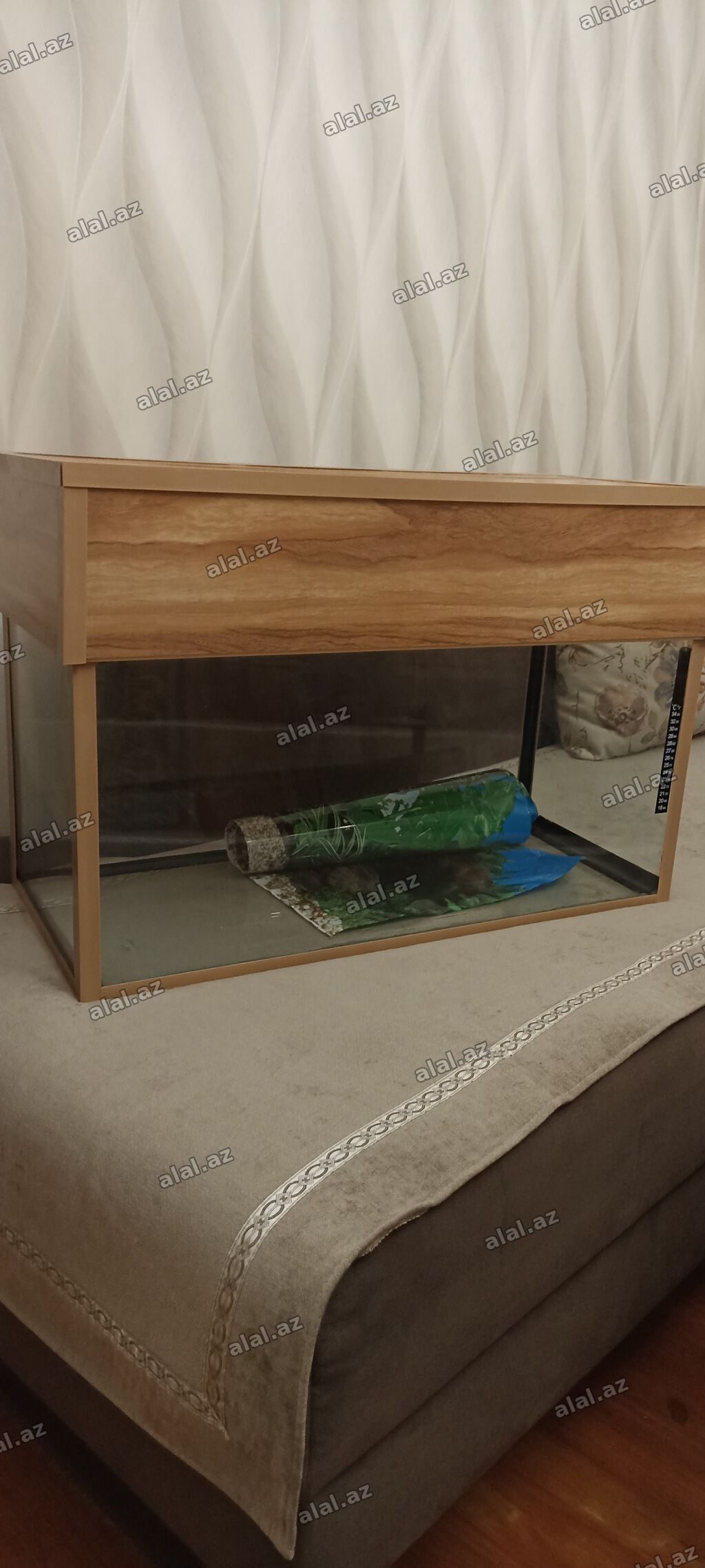 Dördbucaq akvarium, Boş, 80 l — Mallar, Bakı (3)