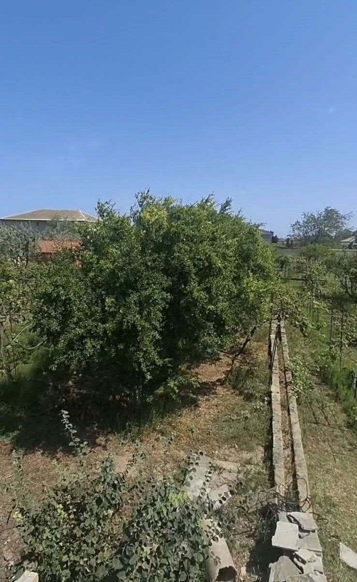 Satılır 6 otaqlı həyət evi/bağ evi 612 m² — Ev, villa, Bakı (3)