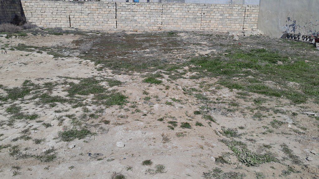 Satılır torpaq 6 sot — Torpaq, Bakı (5)