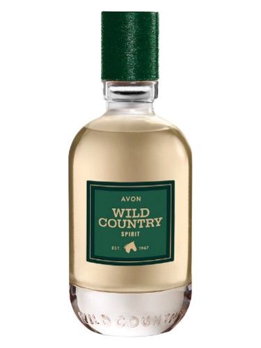 Avon Wild Country Spirit tualet suyu kişilər üçün, 75 ml — Bakı