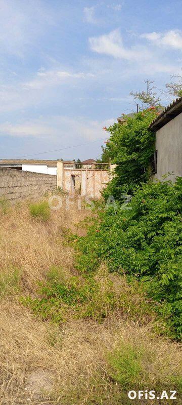 Torpaq Satılır Abşeron r., Görədil q., 16.5 sot — Torpaq, Bakı (3)