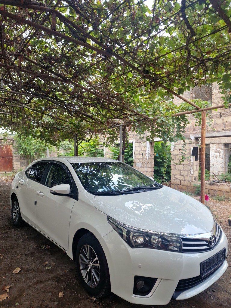 Toyota Corolla, 1.6 L, 2014 il, 186 851 km — Avtomobillər, Füzuli (3)