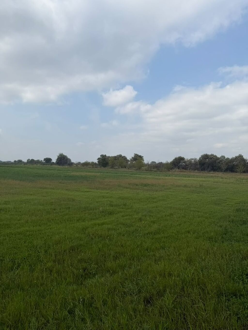 114 sot, Kənd təsərrüfatı, Kupça (Çıxarış), Bələdiyyə — Torpaq, Xaçmaz (7)