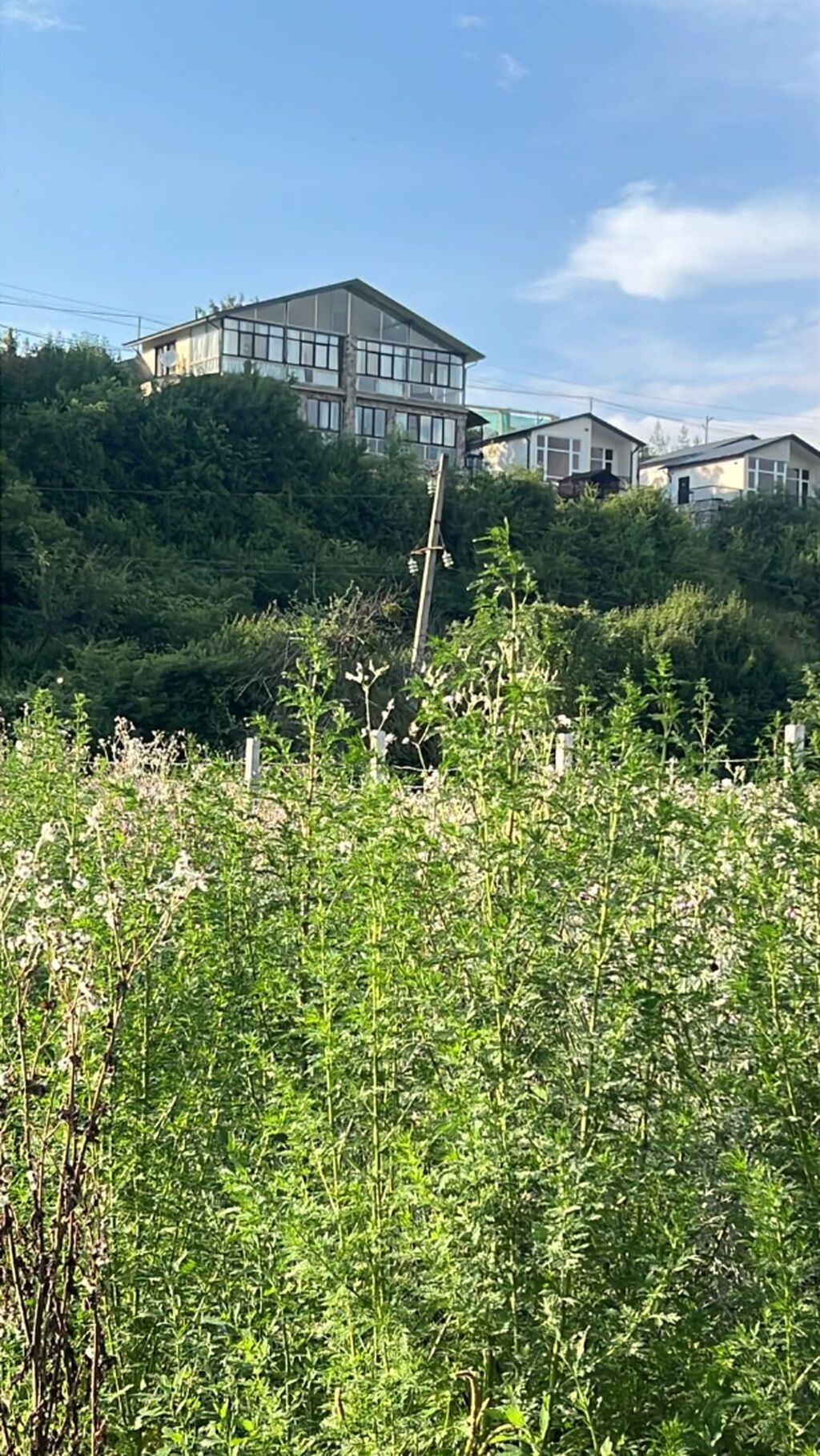 5 sot, Biznes üçün, Makler, Kupça (Çıxarış) — Torpaq, Qusar (4)