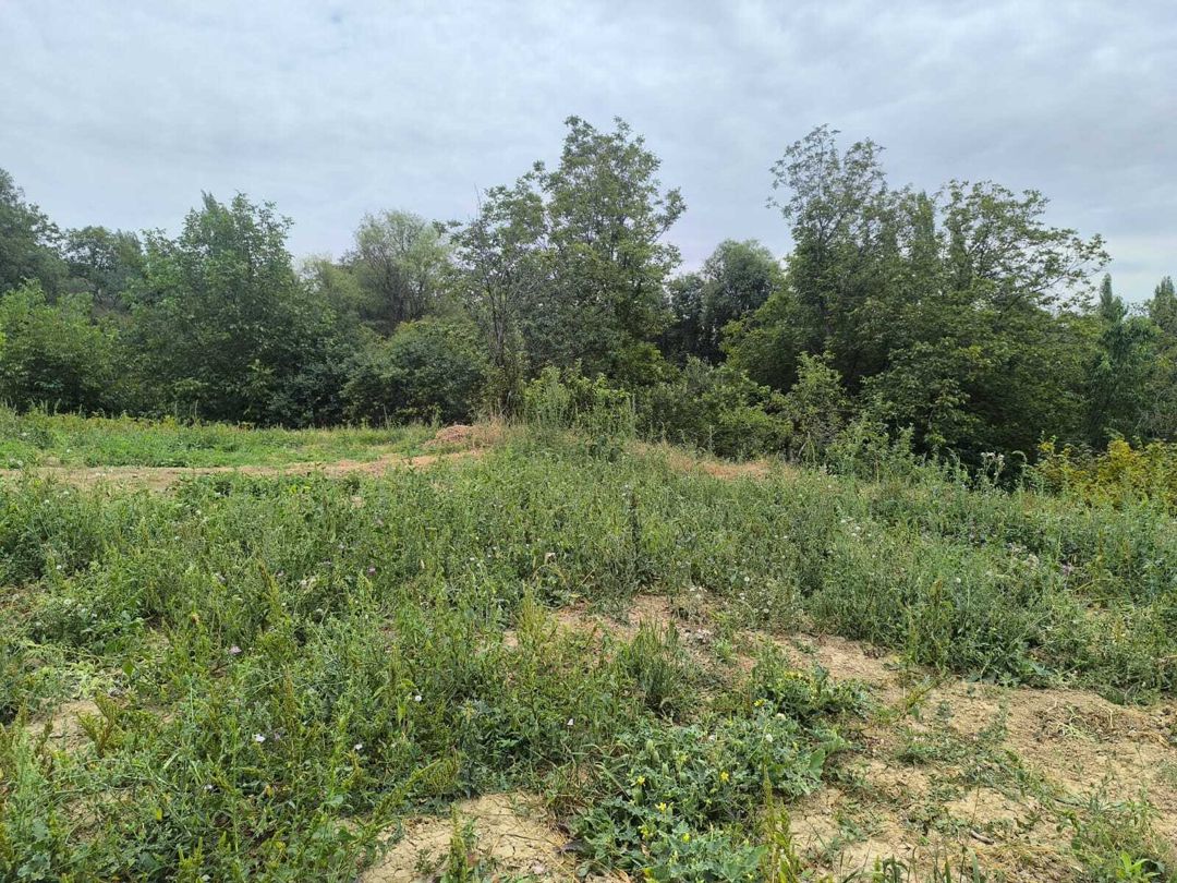 Satılır torpaq 10 sot — Torpaq, Şamaxı (7)