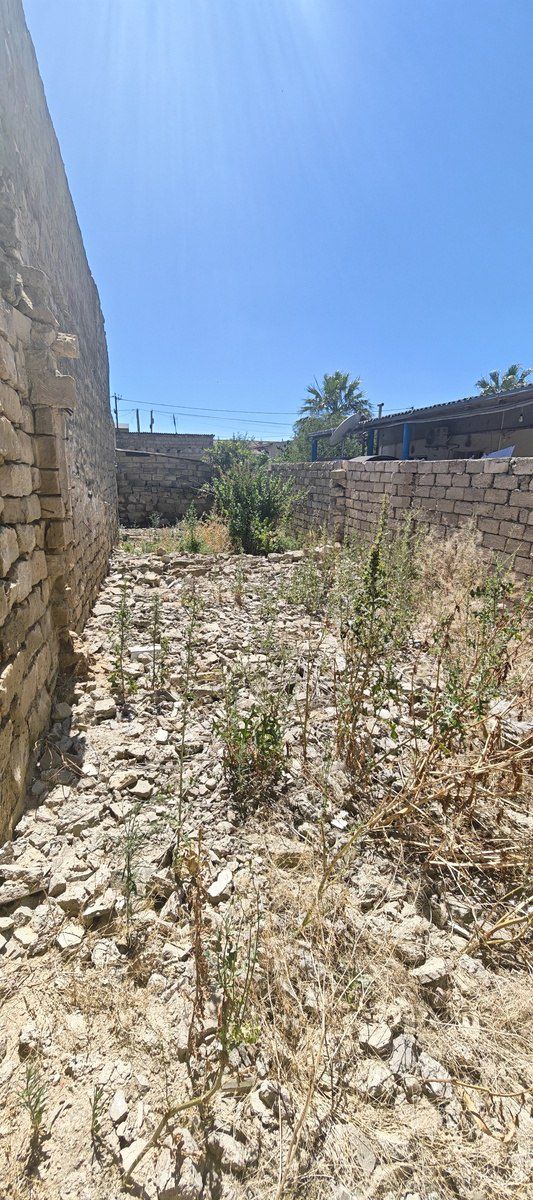 Satılır torpaq 2 sot — Torpaq, Bakı (2)