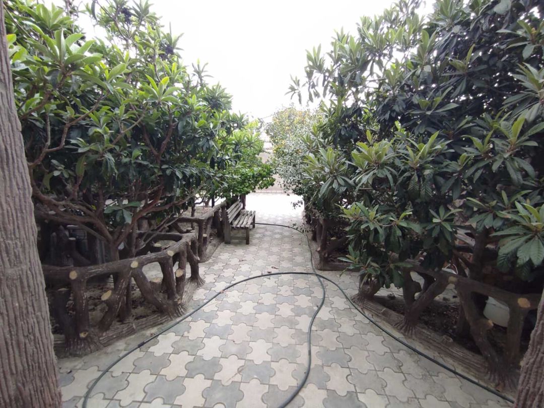 Satılır 3 otaqlı həyət evi/bağ evi 95 m² — Ev, villa, Bakı (9)