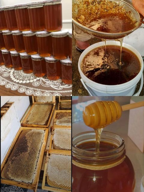 Arı pətəklərindən süzülmüş tam təbii Qax meşə balı təmizliyinə söz — Bakı