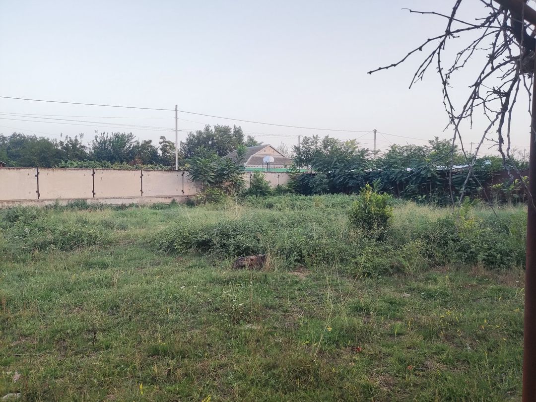 Satılır 4 otaqlı həyət evi/bağ evi 120 m² — Ev, villa, Beyləqan (2)