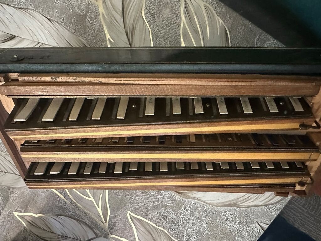 Təmiz Viyatka Effektiv səslənməsi olan problemsiz xərc tələb etmihə — Akkordeonlar, harmonilar, bayanlar, Ağsu (6)