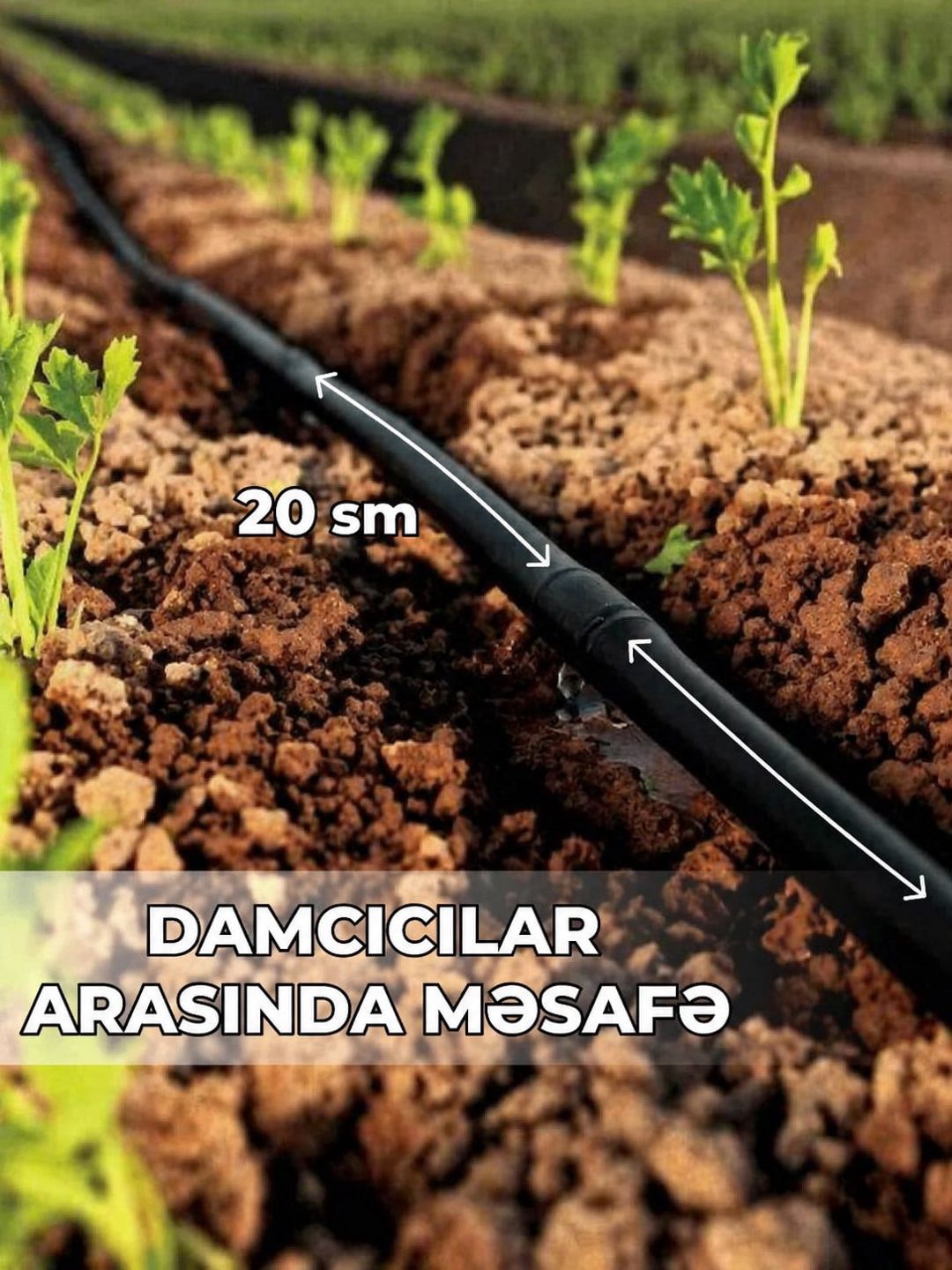 Damcı suvarma borusu STF 16 mm 20 sm 2,0 litr/saat 400 m Qara — Mallar, Bakı (3)