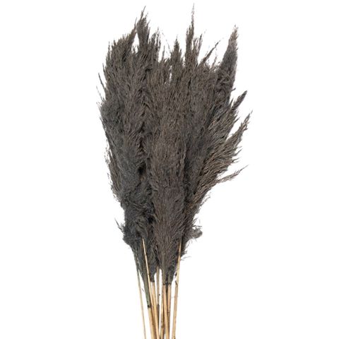 Qurudulmuş çiçəklər Clayre & Eef, 100 sm, boz — Bakı