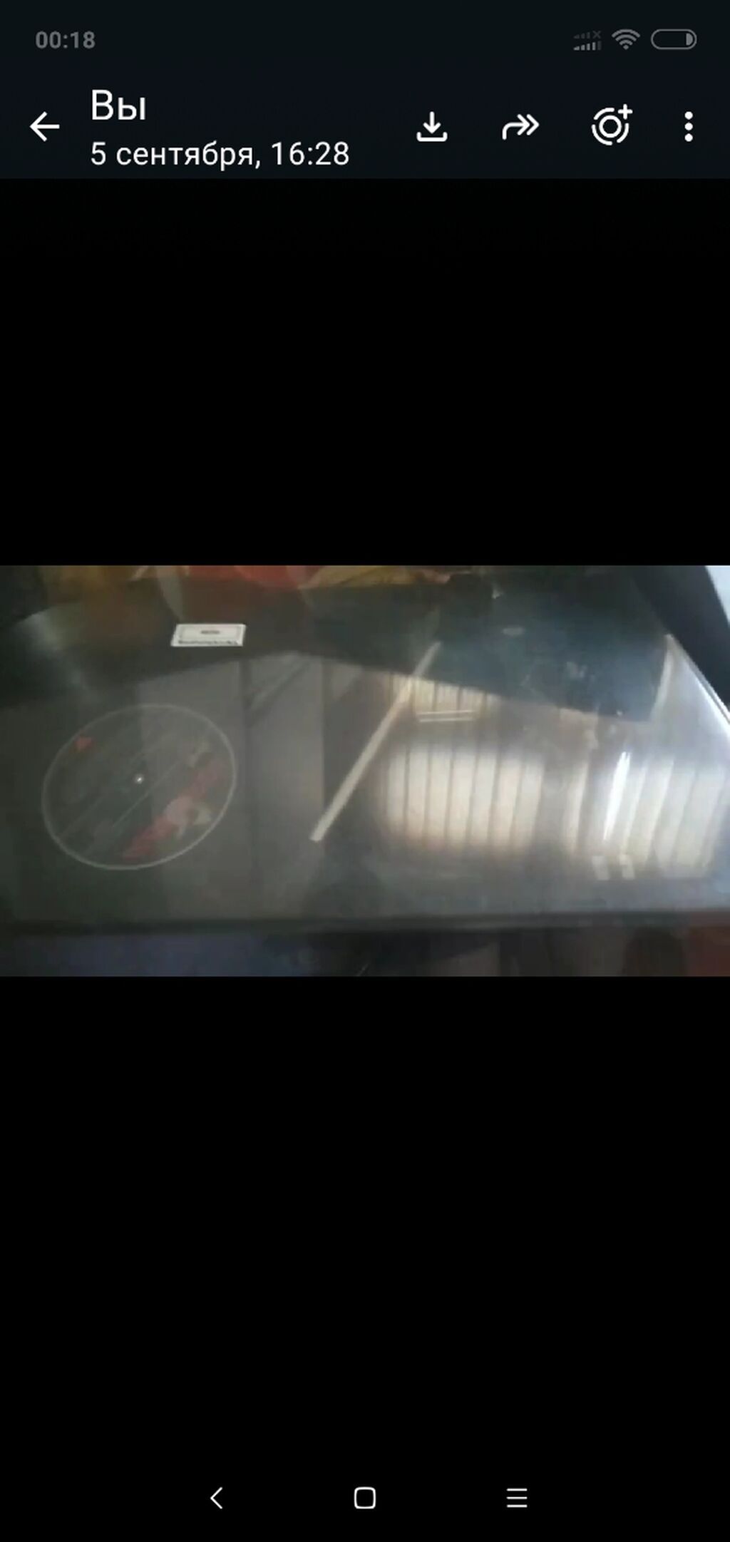 Elektrofon Radiotexnika 302 əla vəziyyətdədir kolonkasiz satılır 80 — Akustik sistemlər, Bakı (3)