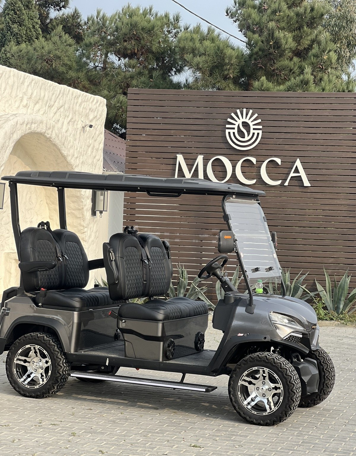 Qolf karı Golfcar 2025 il — Avto, Bakı (8)