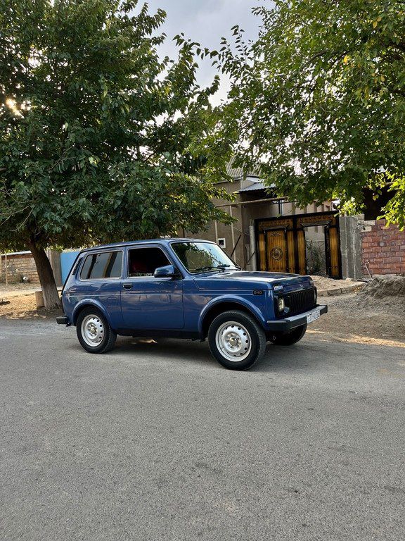 Lada (VAZ) Niva, 1.7 L, 2015 il, 177 000 km 77-VU-346 — Avtomobillər, Cəlilabad (11)
