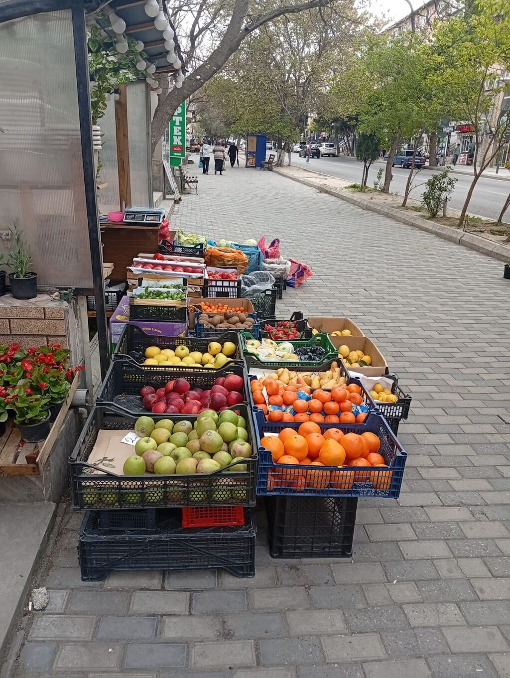 Hazır biznes kimi satılır 500 manat aylıq icare haqqı 400 manat ünvan — Bitkilər, Bakı (8)