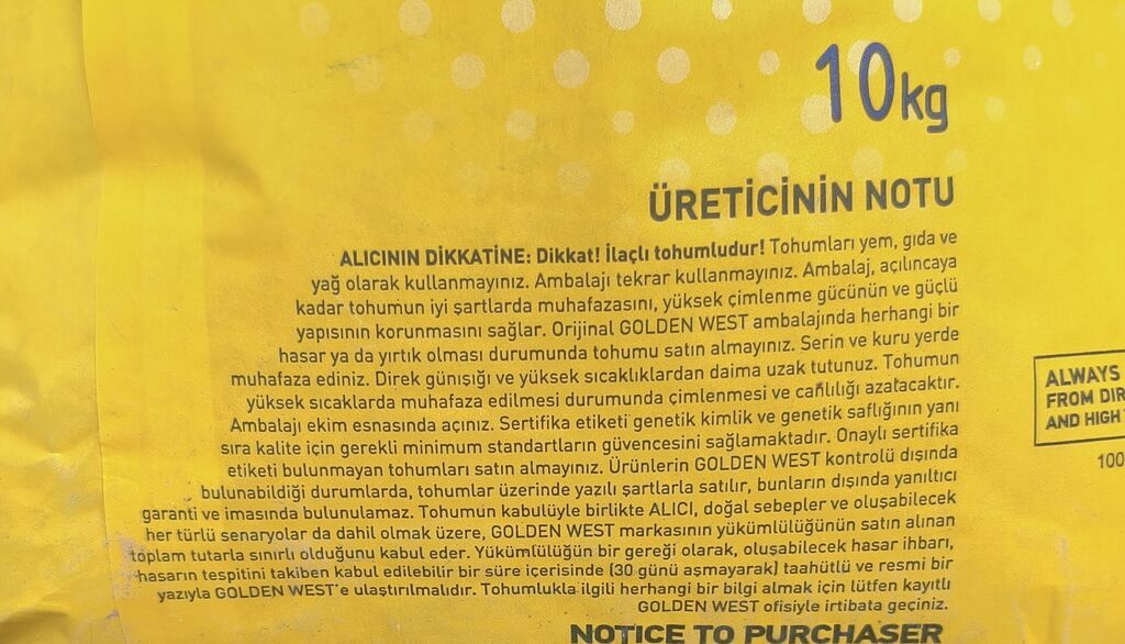 Golden west yonca toxumu Türk toxumudur Bitişi 100 faiz Boy 80 sm — Bitkilər, Bərdə (4)