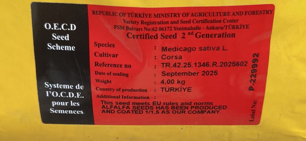 Golden west yonca toxumu Türk toxumudur Bitişi 100 faiz Boy 80 sm — Bitkilər, Bərdə (3)
