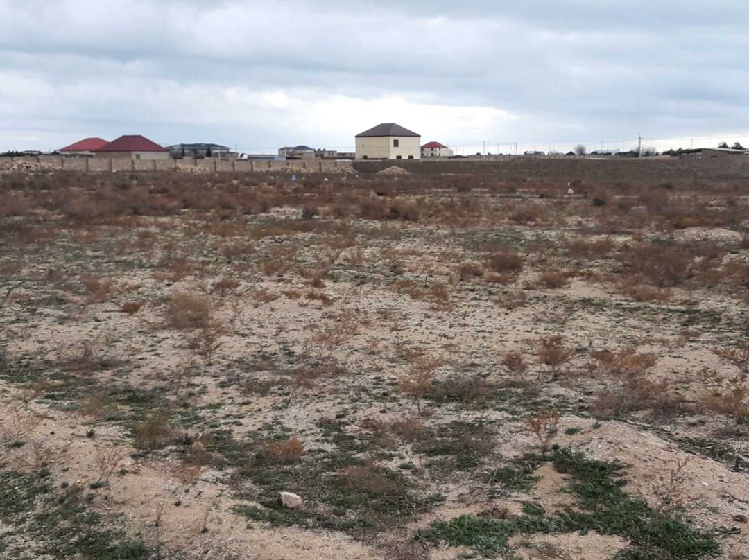 Satılır torpaq 219 sot — Torpaq, Bakı (4)
