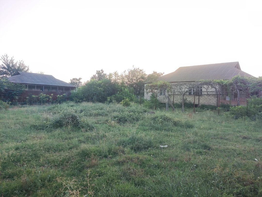 Satılır 4 otaqlı həyət evi/bağ evi 120 m² — Ev, villa, Beyləqan